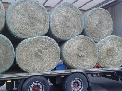 Bild 6:Rundballen und Kleinballen mit Warmluft belüftet