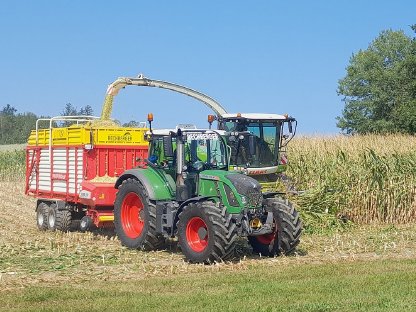 Bild 3:Grünlandernte mit Pöttinger Rotorwagen Faro
