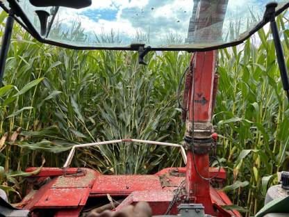 Bild 4:Kemper Champion 3000 Feldhäcksler Anbauhäcksler C3000