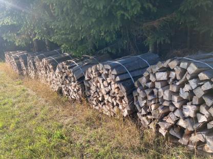 Bild 2:Brennholz Buche