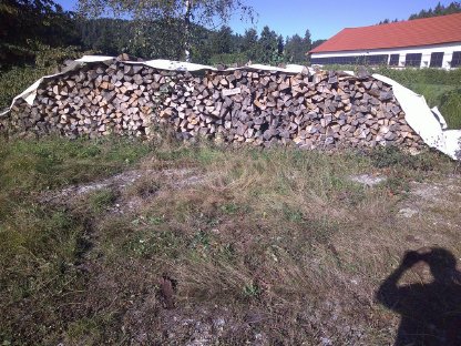 Bild 2:Brennholz