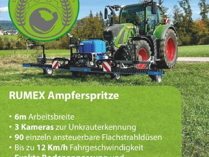 Ampferbekämpfung mit Rumex