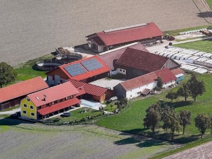 Verpachte Bauernhof, Stallungen für Kühe, Pferde, etc.