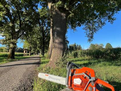 Bild 2:Wir suchen einen Mitarbeiter für die Forstwirtschaft