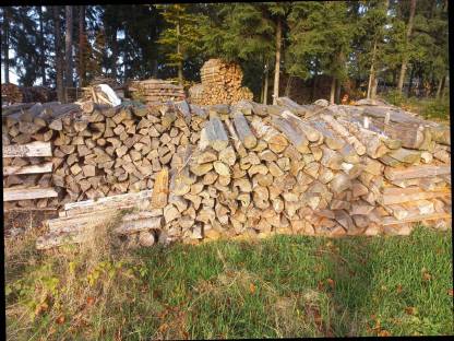 Bild 2:Brennholz