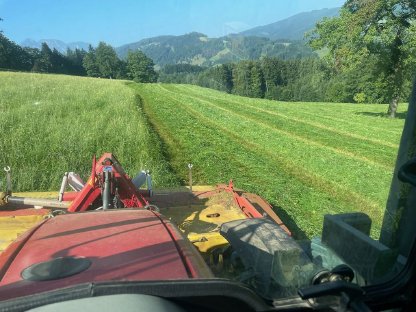 Bild 3:Bio Heu 2. Schnitt