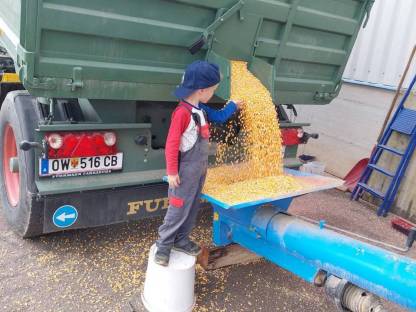 Bild 5:Trocknungsanlage