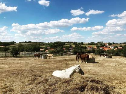Bild 2:Einstellplätze im Weinviertel