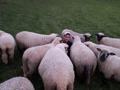 Bio Shropshire Widder