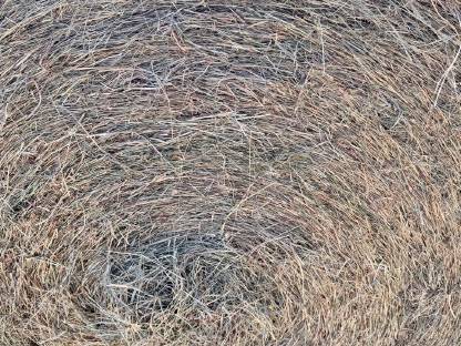 Bild 2:2. Schnitt Bio-Heu – 13 Rundballen