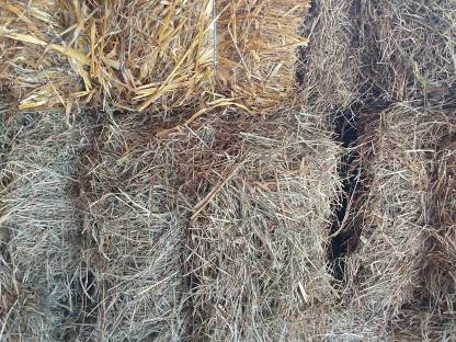 Bild 2:Kleine Heubinkel