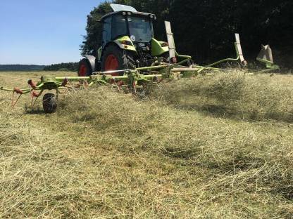 Bild 2:Heu 1. Schnitt Pferdeheu Quaderballen