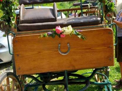 Bild 3:Kutsche Wagonette