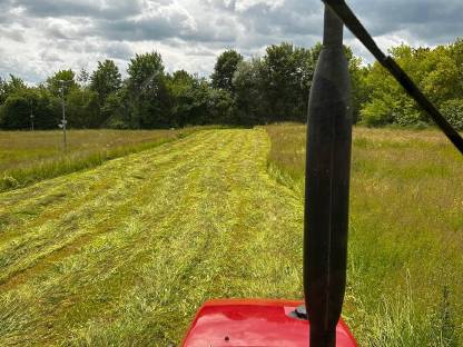Bild 8:Heu 1. Schnitt