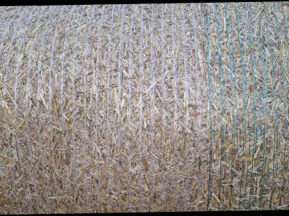 Bild 2:Bio Strohrundballen