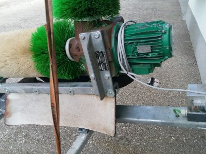 Bild 3:Rinder Putzbürste