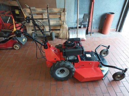 Bild 2:Hochgrasmulcher 70 cm mit 3 Vorwärtsgängen und 1 Rückwärtsgang