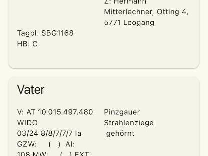 Bild 7:Pinzgauer Strahlenziegenbock