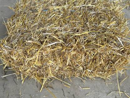 Bild 3:Stroh in Kleinballen