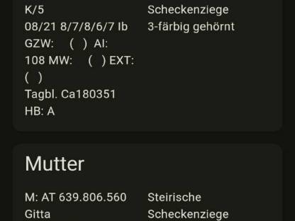 Zuchtbock Steirische Scheckenziegen