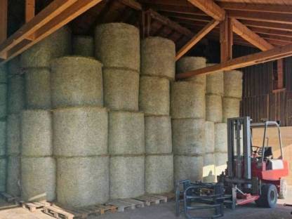 Bild 6:Heu Grummet Rundballen 1. und 2. Schnitt