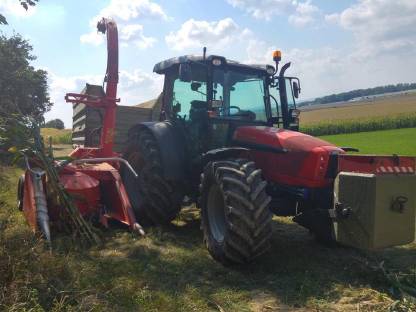 Bild 8:Kemper Champion 1200