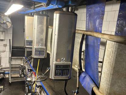 Bild 3:DeLaval Fischgräten Melkstand