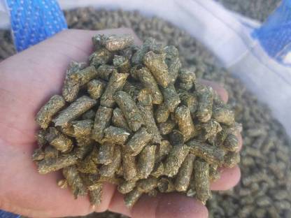 Bild 2:Heucobs Heupellets Futterpellets Futtercobs