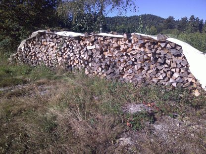 Bild 3:Brennholz