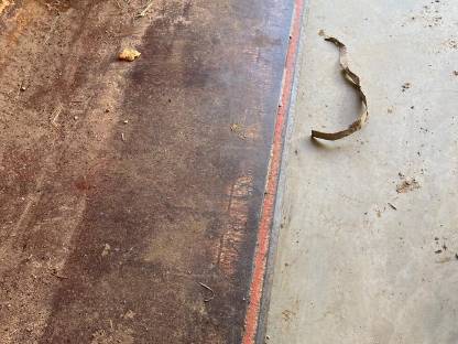 Bild 4:Leichtgutschaufel Hydrac 220 cm