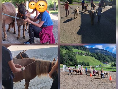 Bild 5:The Little Firehorses Minishetlandponys