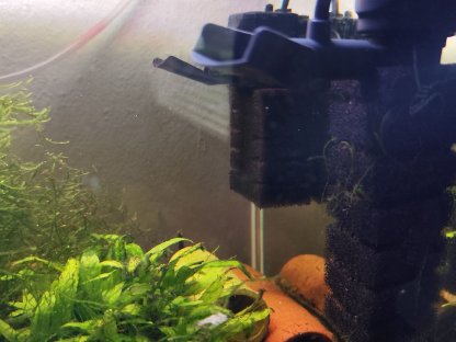 Bild 4:Aquarium mit kompletter Deko, Filter, Füllspektrum, Lampe