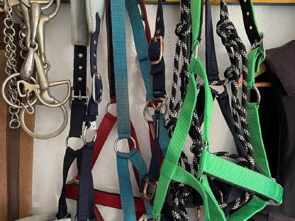 Bild 9:Verkaufe Pferdezubehör