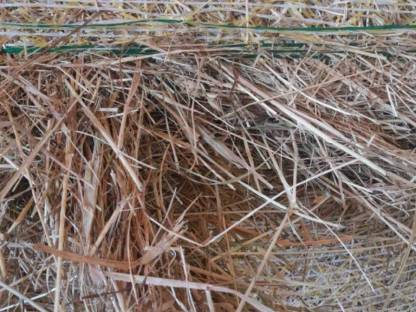 Bild 2:Heurundballen