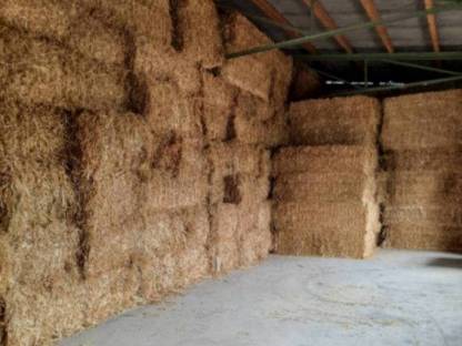 Bild 2:Futter Stroh, geschnitten oder lang