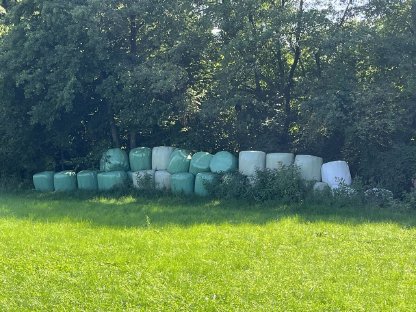 Siloballen zu verkaufen