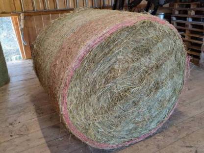 Bild 6:Heu Bzk. Voitsberg