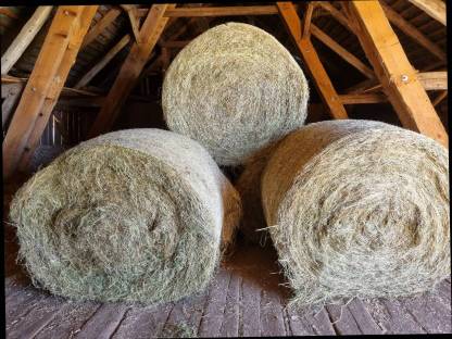 Bild 2:Verkaufe Heu, Pferdeheu