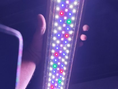 Bild 6:Aquarium mit kompletter Deko, Filter, Füllspektrum, Lampe