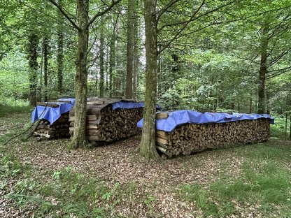 Bild 2:Brennholz - Hartholz