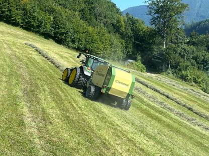 Bild 3:BIO Pferdeheu Heurundballen