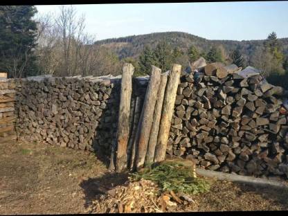 Bild 3:Buche Brennholz