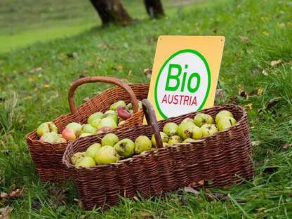 Bio-Pressäpfel