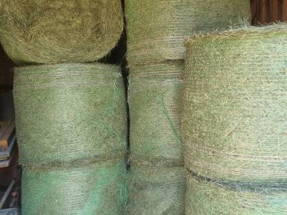 Heuballen 2. Schnitt