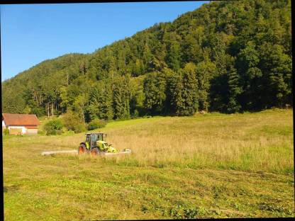 Bild 3:Biete Mäharbeiten mit Claas Disco 360 an