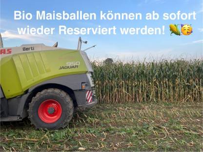 Bio Maisballen Vorbestellung