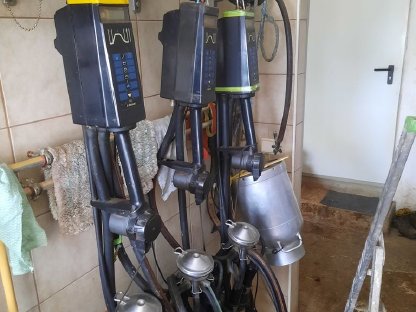 Bild 4:Rohrmelkanlage DeLaval