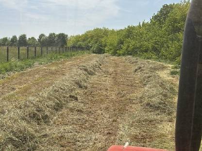 Bild 3:Heu 1. Schnitt