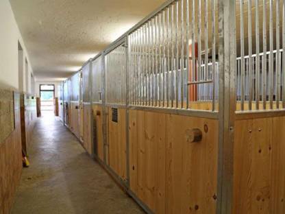 Bild 3:Pferde Einstellplatz