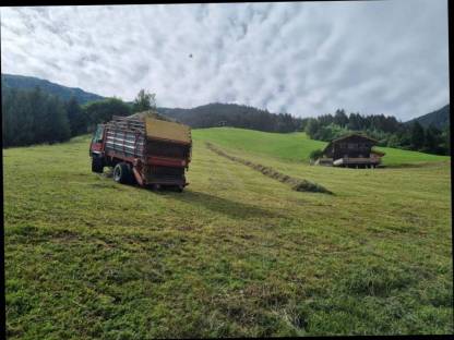 Bild 3:Schlepper LD38 im Bestzustand